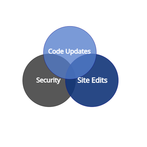 WordPress Management